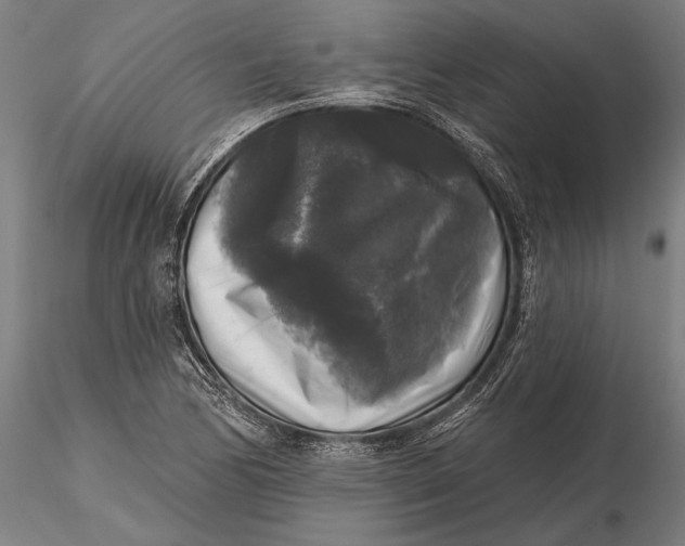 X0000115671170200912031349