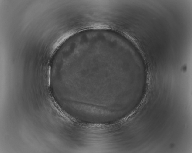 X0000115671171200912031349