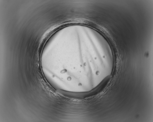 X0000115671172200912031349