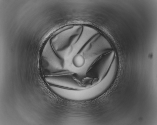 X0000115671173200912031349