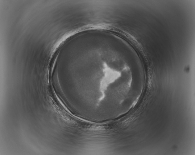 X0000115671174200912031349