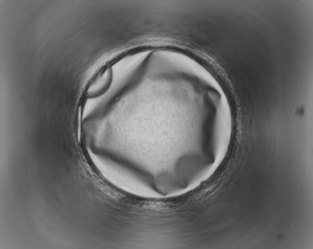 X0000115671175200912031349