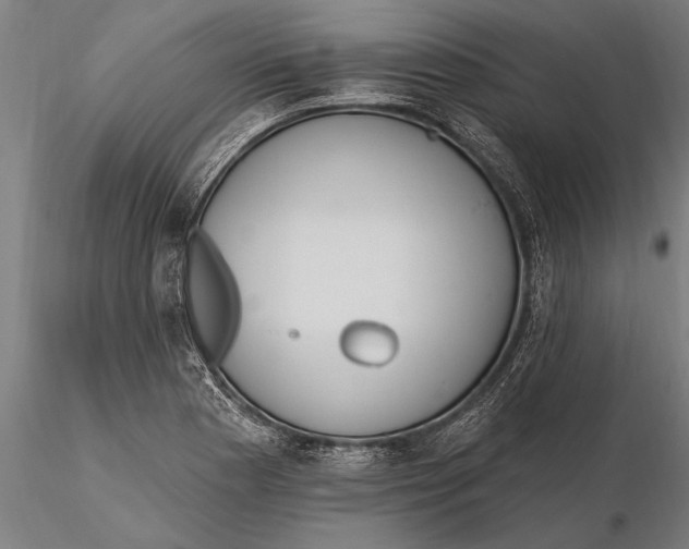 X0000115671177200912031349