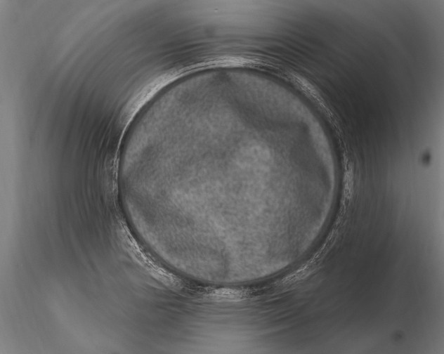 X0000115671178200912031349