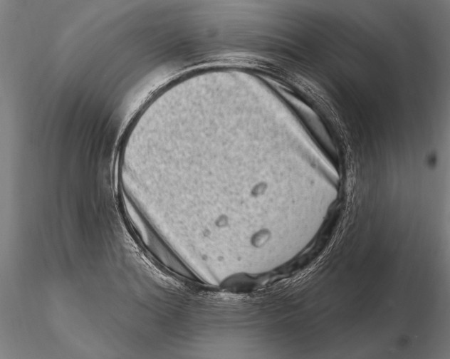 X0000115671180200912031349