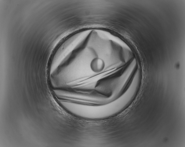 X0000115671181200912031349