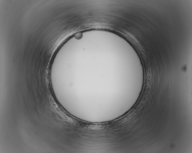 X0000115671182200912031349