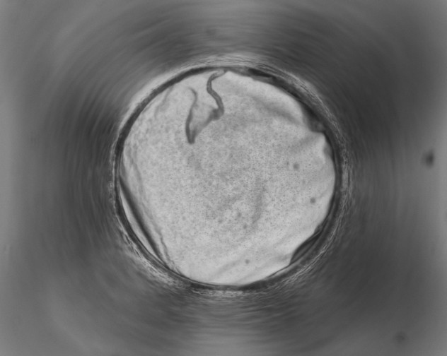 X0000115671184200912031349