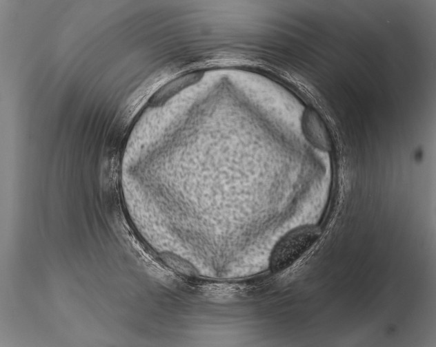 X0000115671185200912031349