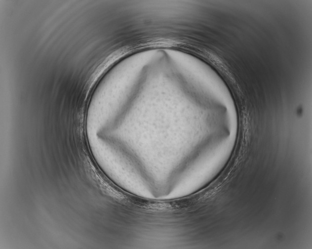 X0000115671186200912031349