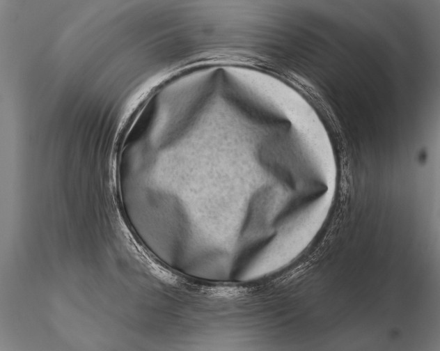 X0000115671188200912031348