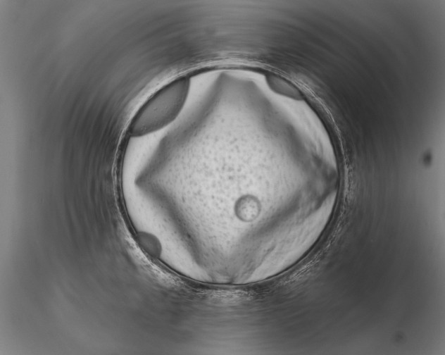 X0000115671189200912031348