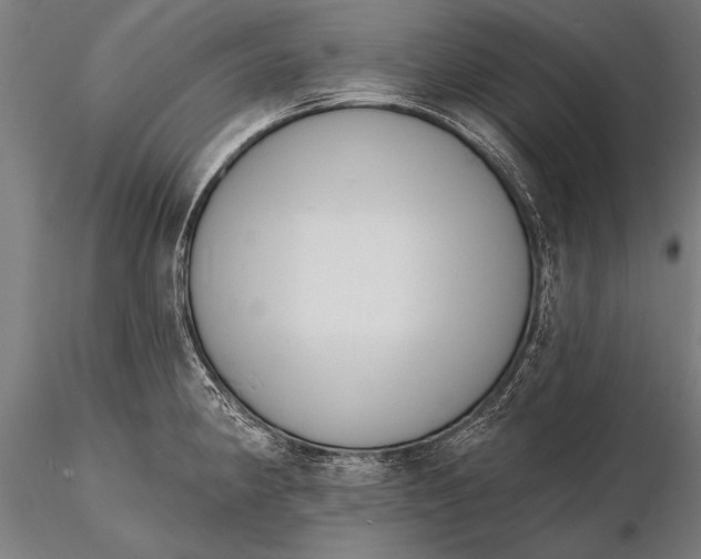 X0000115671190200912031348