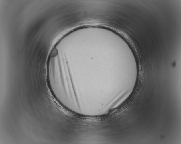 X0000115671191200912031348