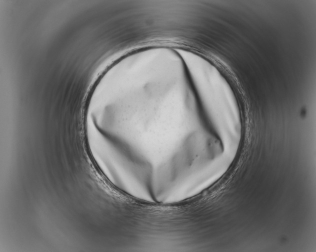 X0000115671192200912031348