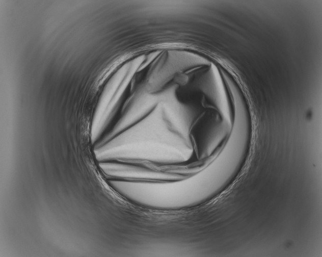 X0000115671193200912031348