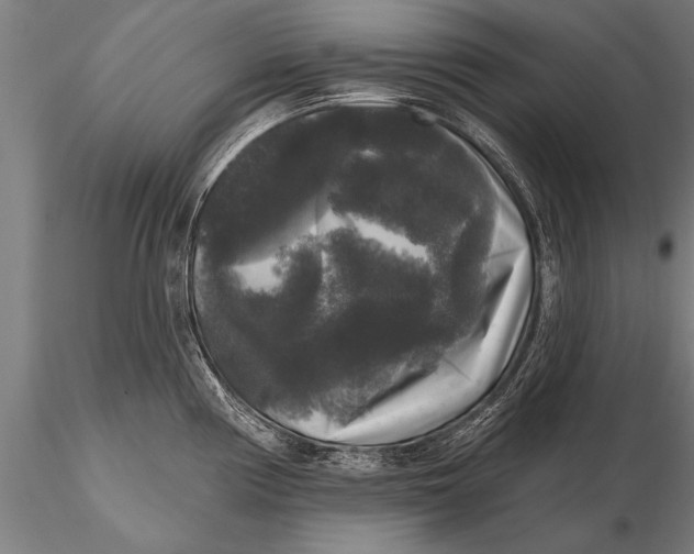 X0000115671194200912031348