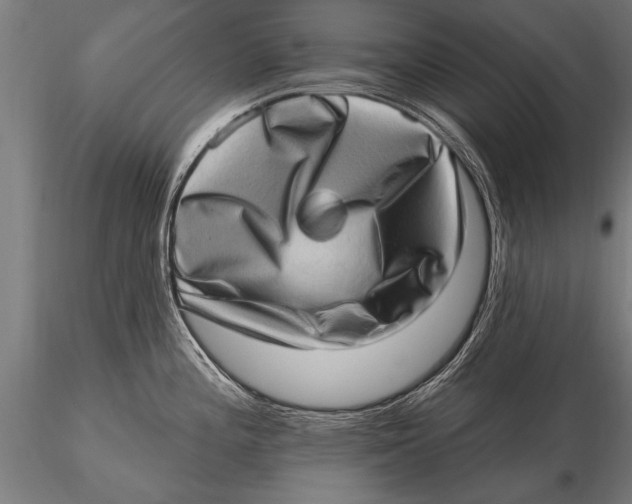 X0000115671196200912031348