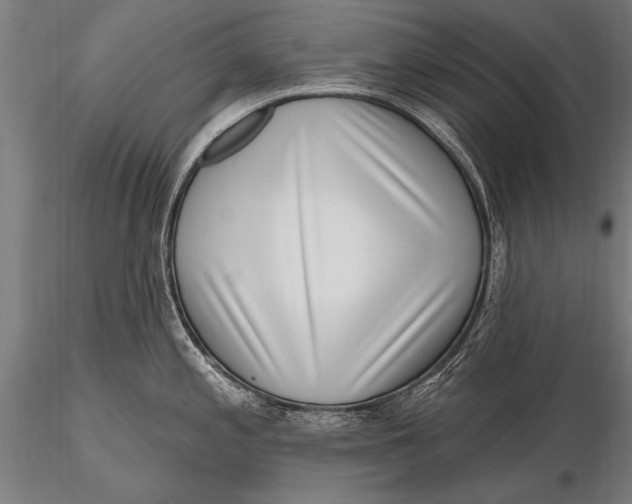 X0000115671197200912031348