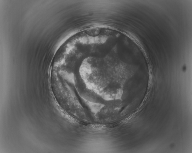 X0000115671198200912031348