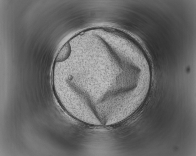 X0000115671199200912031348