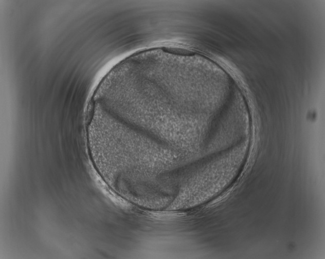 X0000115671200200912031348