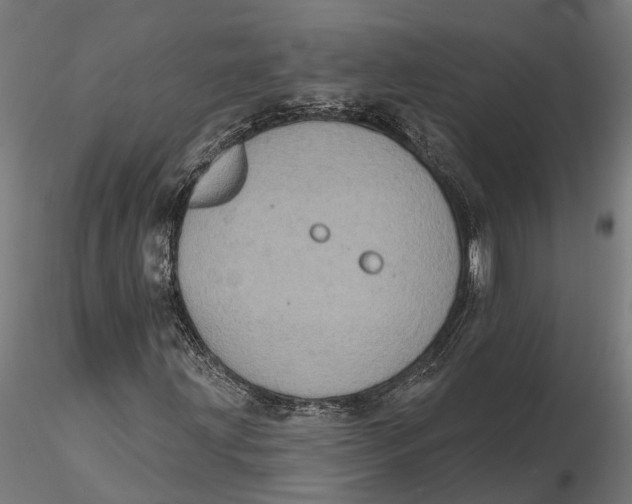 X0000115671203200912031348