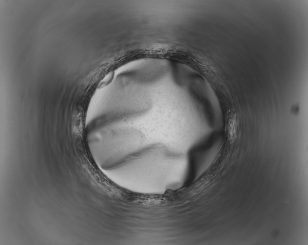 X0000115671204200912031348