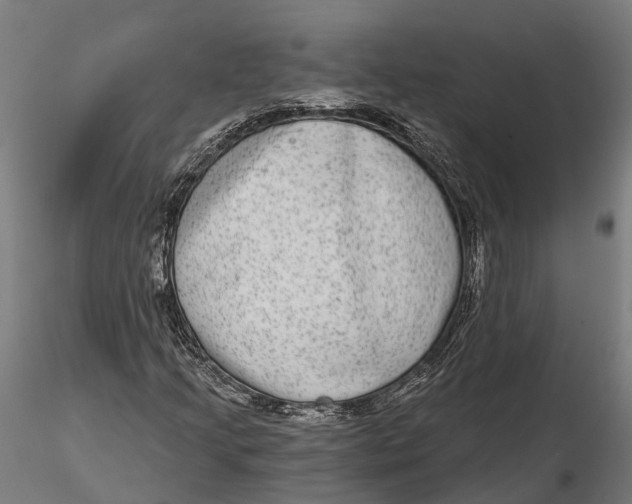 X0000115671205200912031348