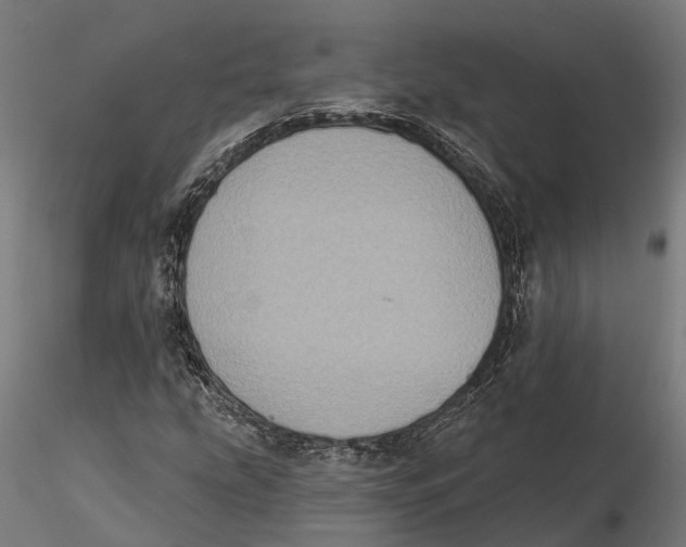 X0000115671207200912031348