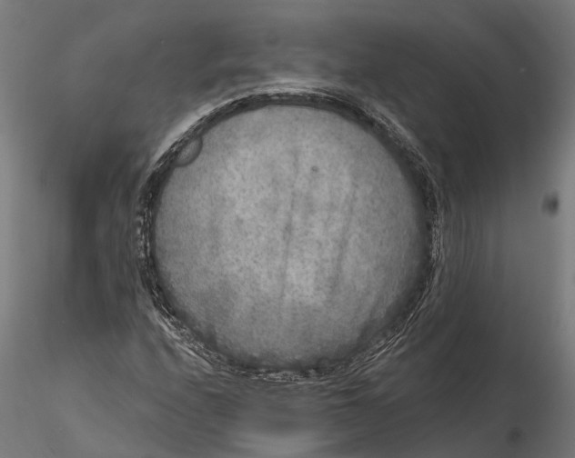 X0000115671208200912031348