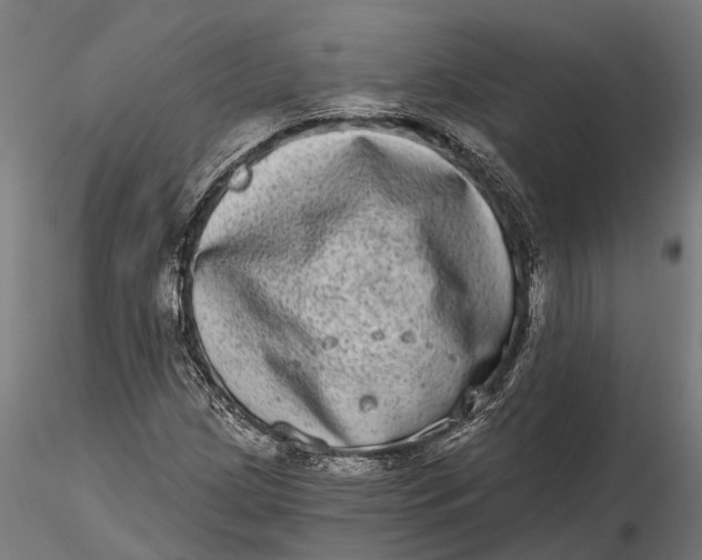 X0000115671209200912031348