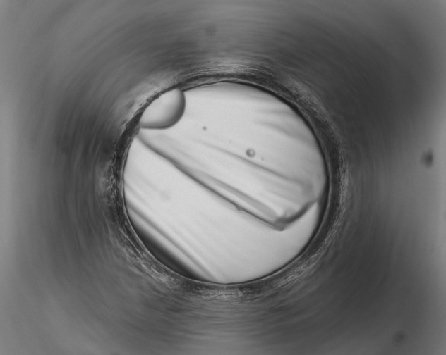 X0000115671210200912031348