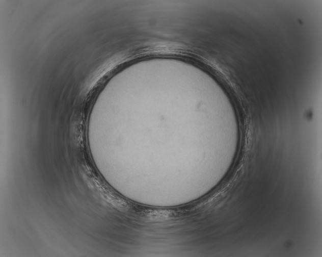 X0000115671211200912031348