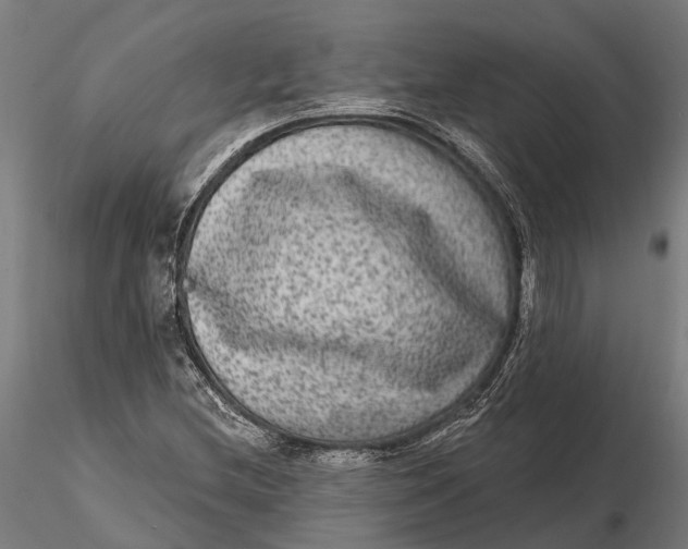 X0000115671212200912031348