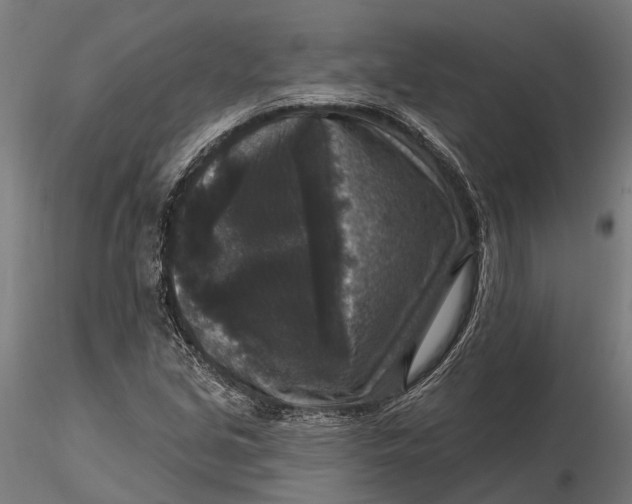 X0000115671213200912031348