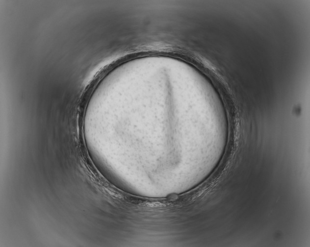 X0000115671214200912031348