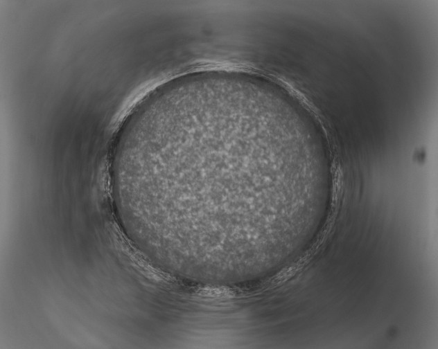 X0000115671215200912031348