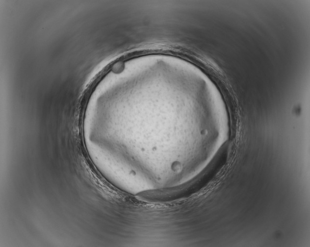 X0000115671216200912031348