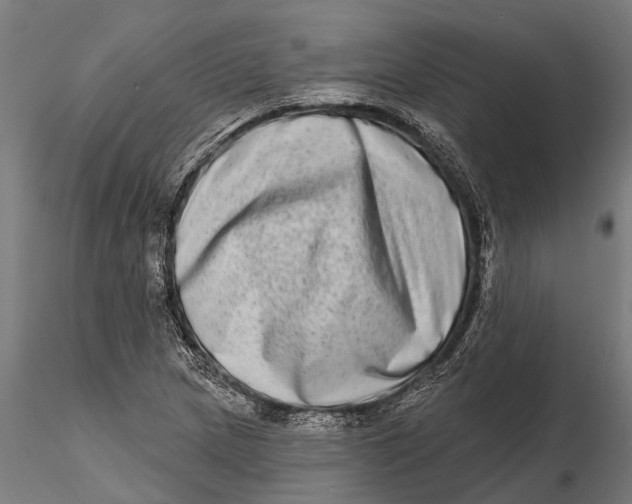 X0000115671217200912031348