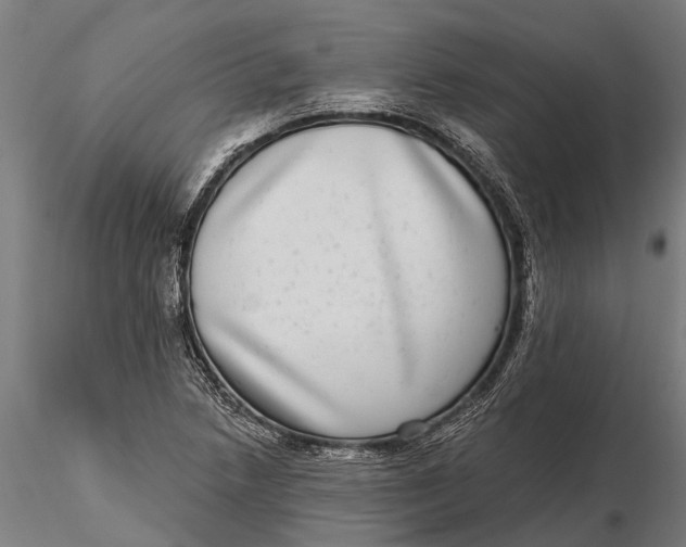 X0000115671218200912031348