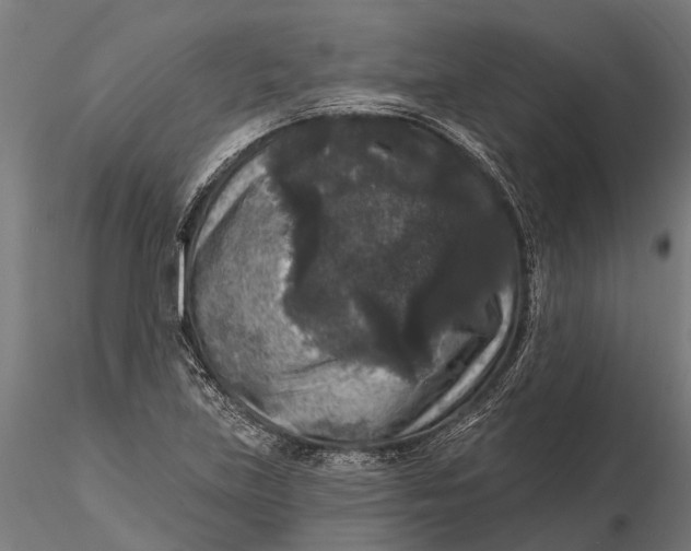 X0000115671219200912031348