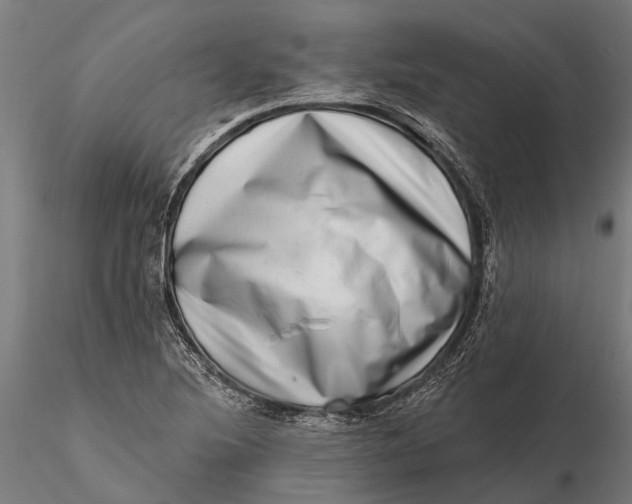 X0000115671220200912031348