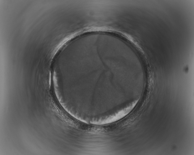 X0000115671221200912031348