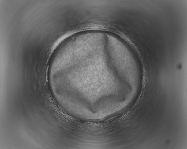 X0000115671222200912031348