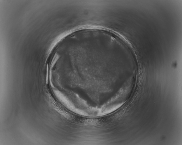 X0000115671223200912031348