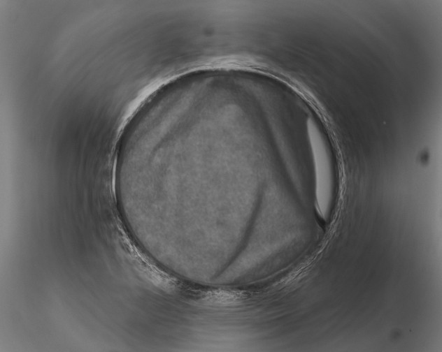 X0000115671224200912031348