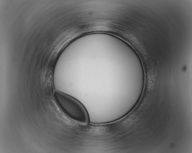 X0000115671225200912031348