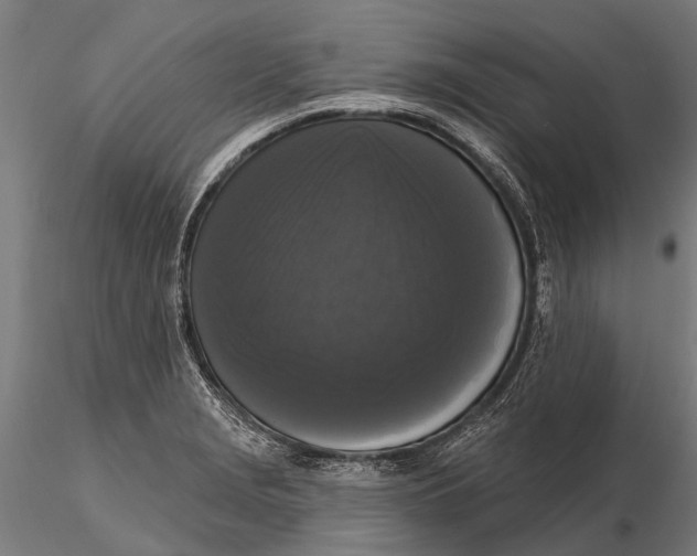 X0000115671229200912031348