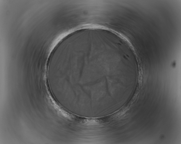 X0000115671231200912031348